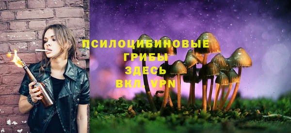 mix Михайловск