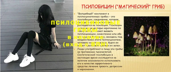 герыч Михайлов