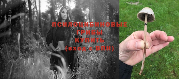 герыч Михайлов