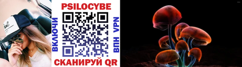 Галлюциногенные грибы ЛСД Подпорожье